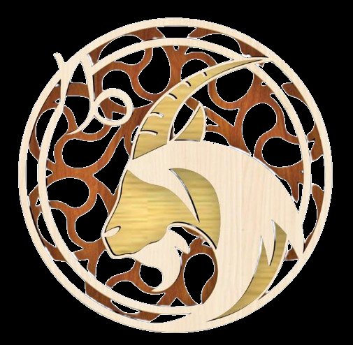 [Capricorne 30x30] Capricorne 30x30